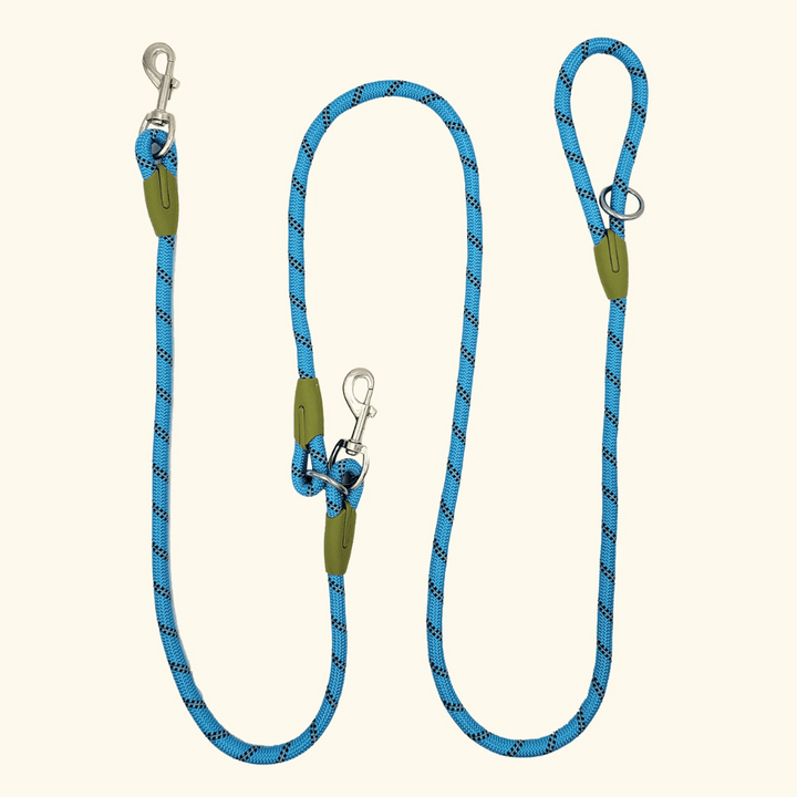 Nighttime running safety: Reflective hands-free bungee dog leash for active large dogs.