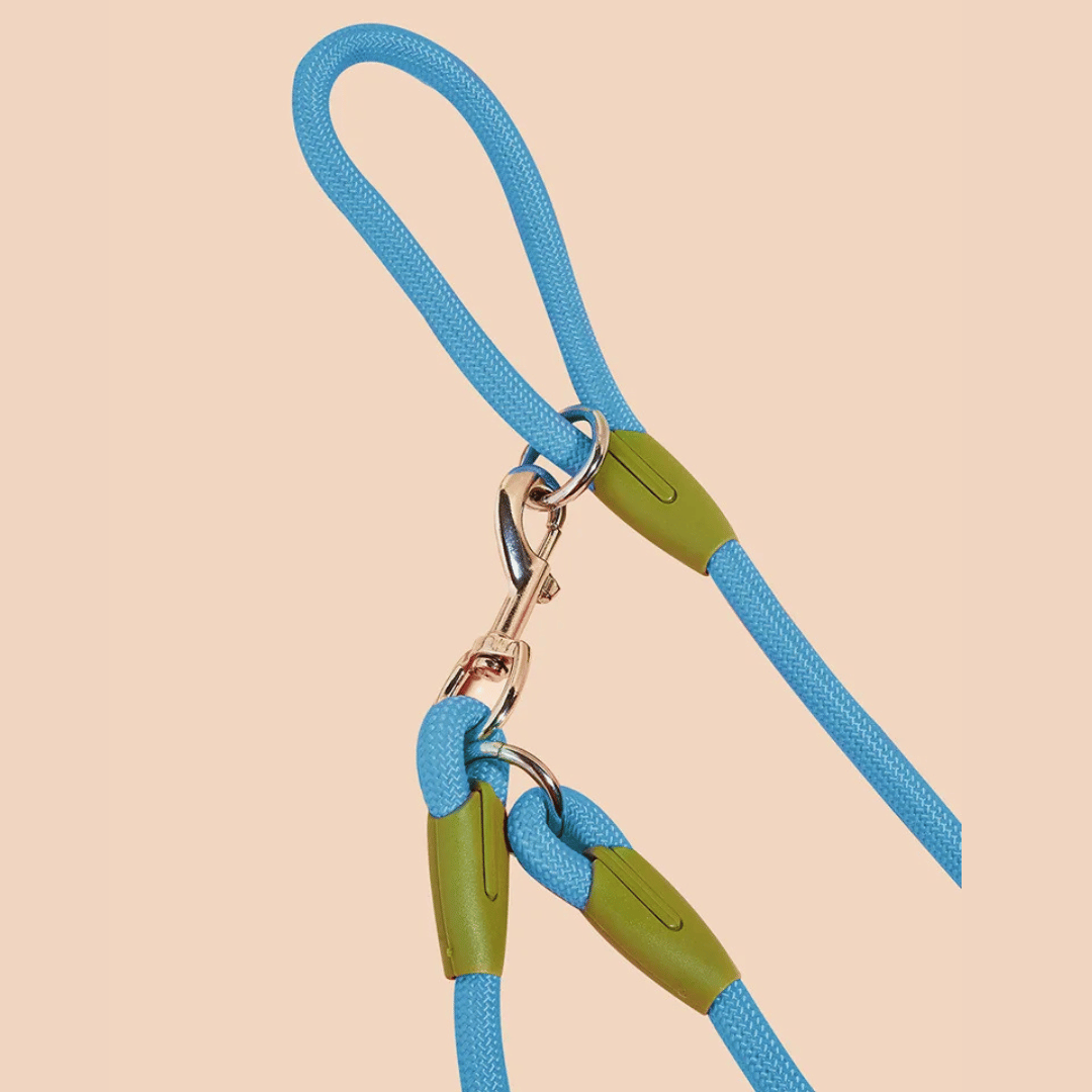 High-quality hands-free reflective dog leash, a must-have pet supply for walking & running.