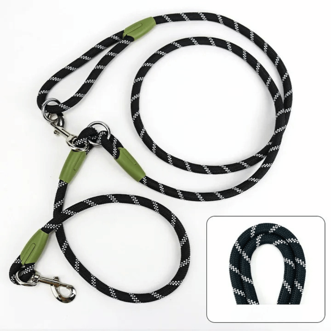Large dog enjoying a walk with owner using a reflective hands-free running leash.