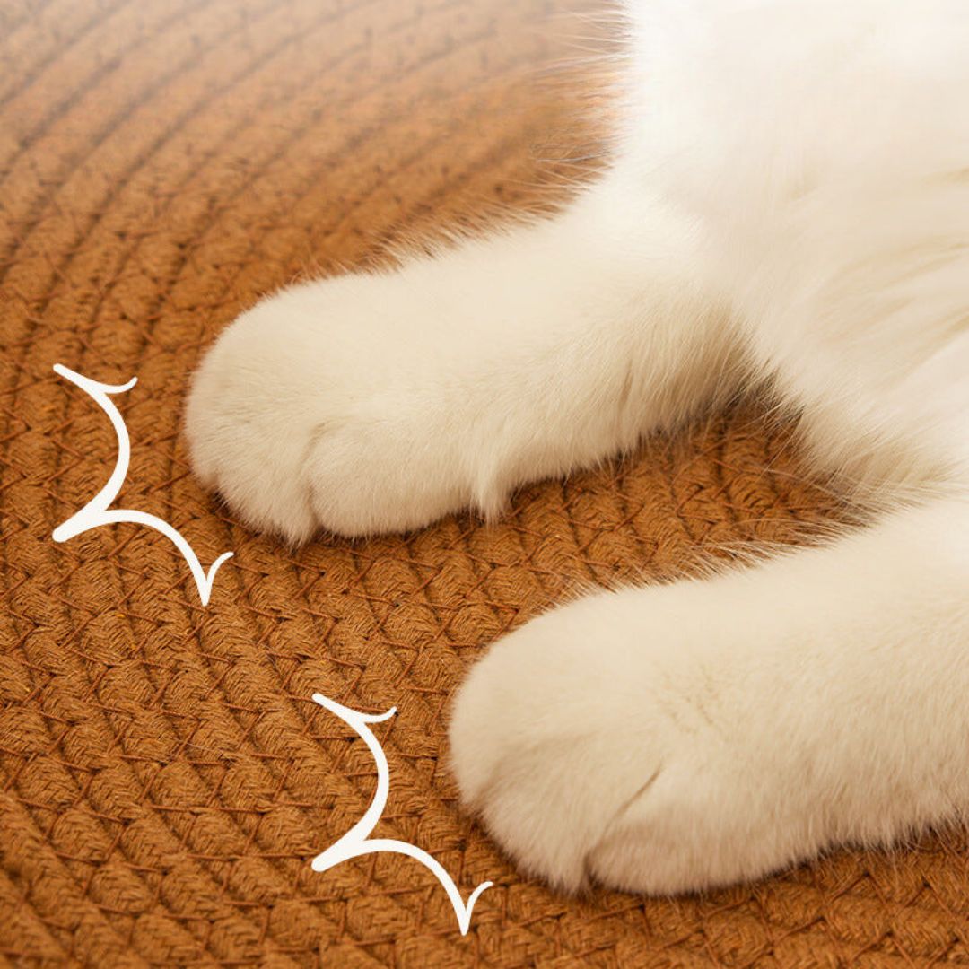 Round rattan cat bed with integrated scratching surface, eco-friendly pet furniture.