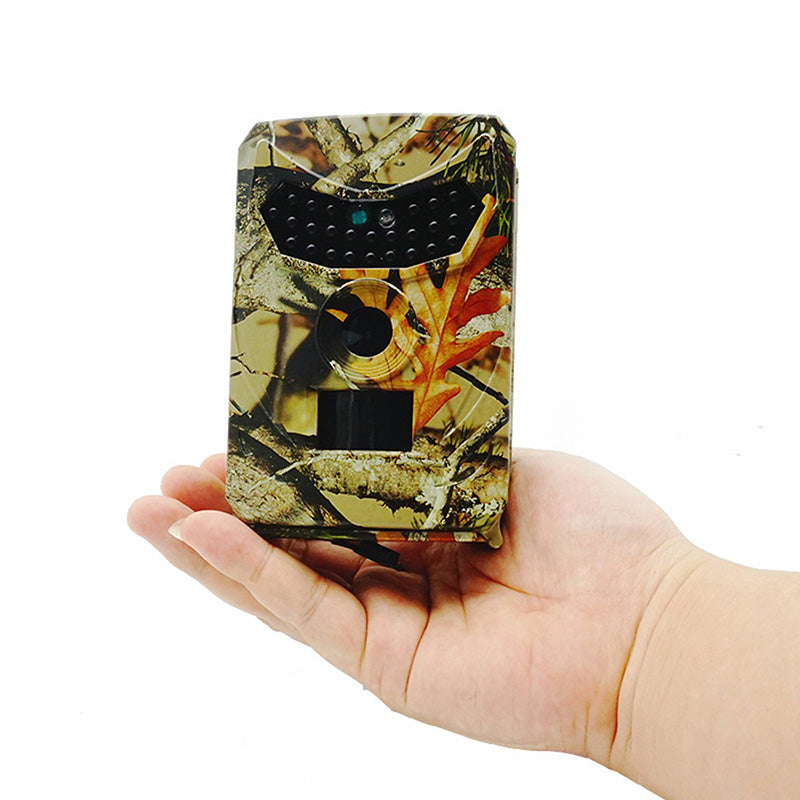 Versatile outdoor wildlife camera, motion detection, night vision, and waterproof casing.