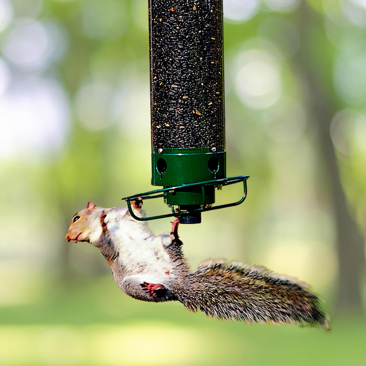 Protect your bird seed with this durable metal squirrel-proof bird feeder for the backyard.