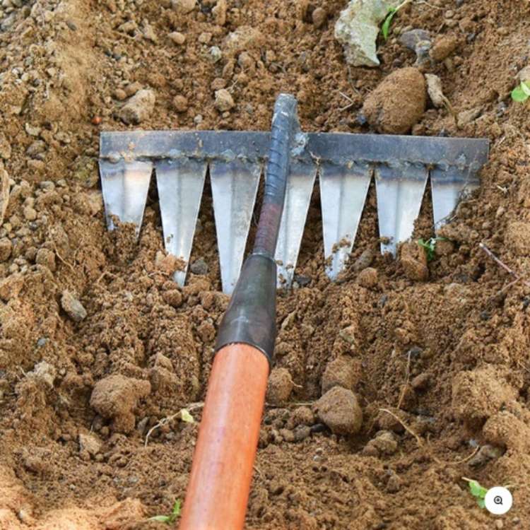 Essential gardening equipment: heavy-duty steel garden rake for quick weed removal & lawn cultivation.