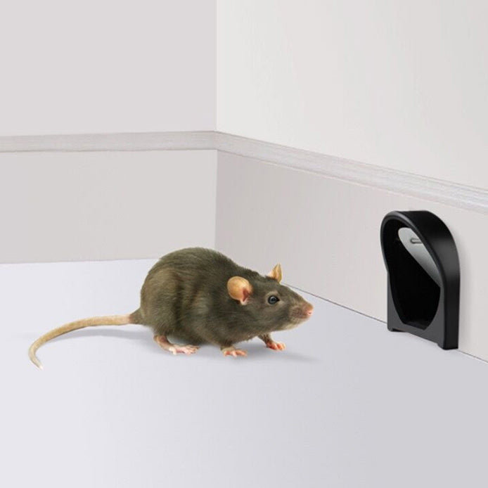 Compact, reusable plastic rat trap cage; safe & humane solution for effective home rodent removal.