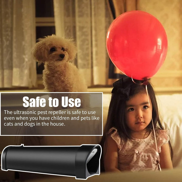 Reliable humane rat trap cage made of durable plastic for safe, no-kill rodent management.