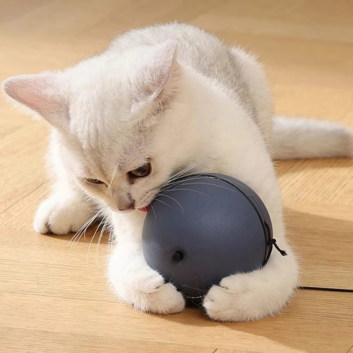 HuntSphere smart rolling cat toy with feather tail and obstacle avoidance, interactive fun for pets.
