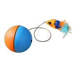 Blue/Orange