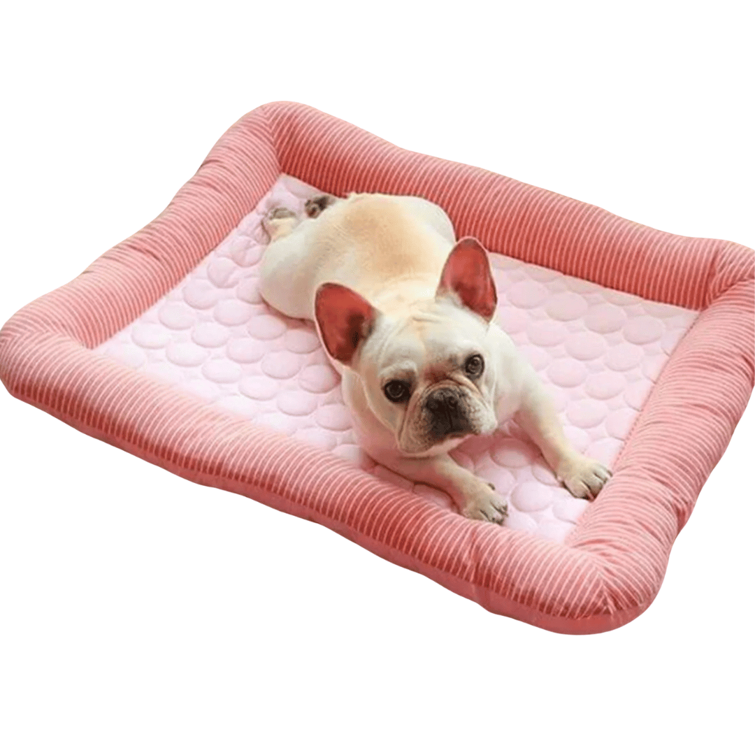 Machine washable cooling dog bed cushion. Durable ice silk pet mat ensures summer comfort & easy cleaning for pets.