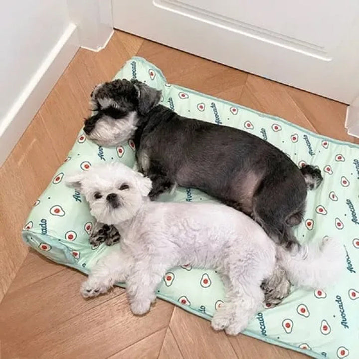 Cooling pet pad with ice silk, great for small dogs & cats. Perfect for indoor/outdoor use in warm weather.