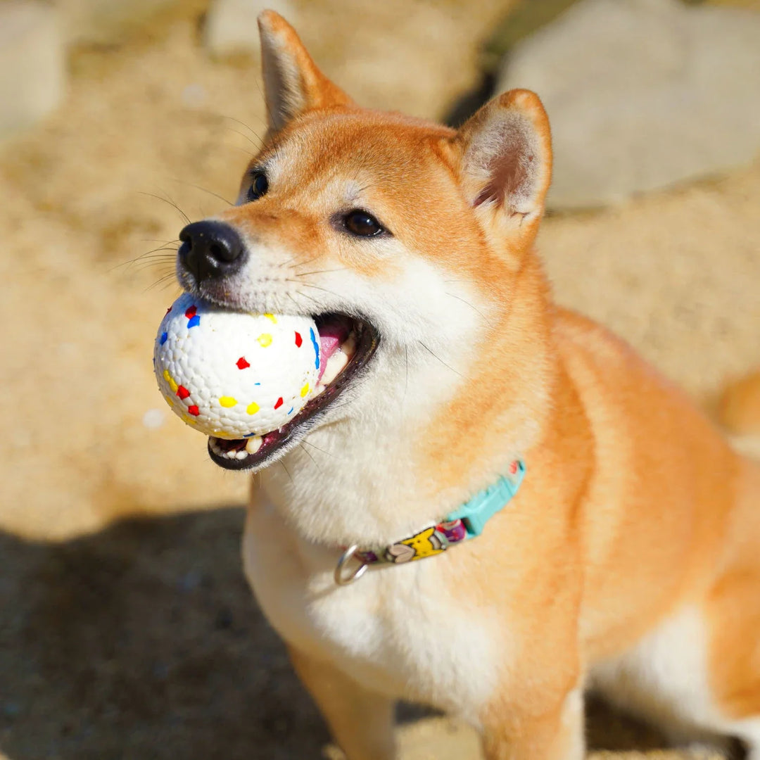 Indestructible dog ball toy for aggressive chewers, a durable and fun chew toy for tough dogs.
