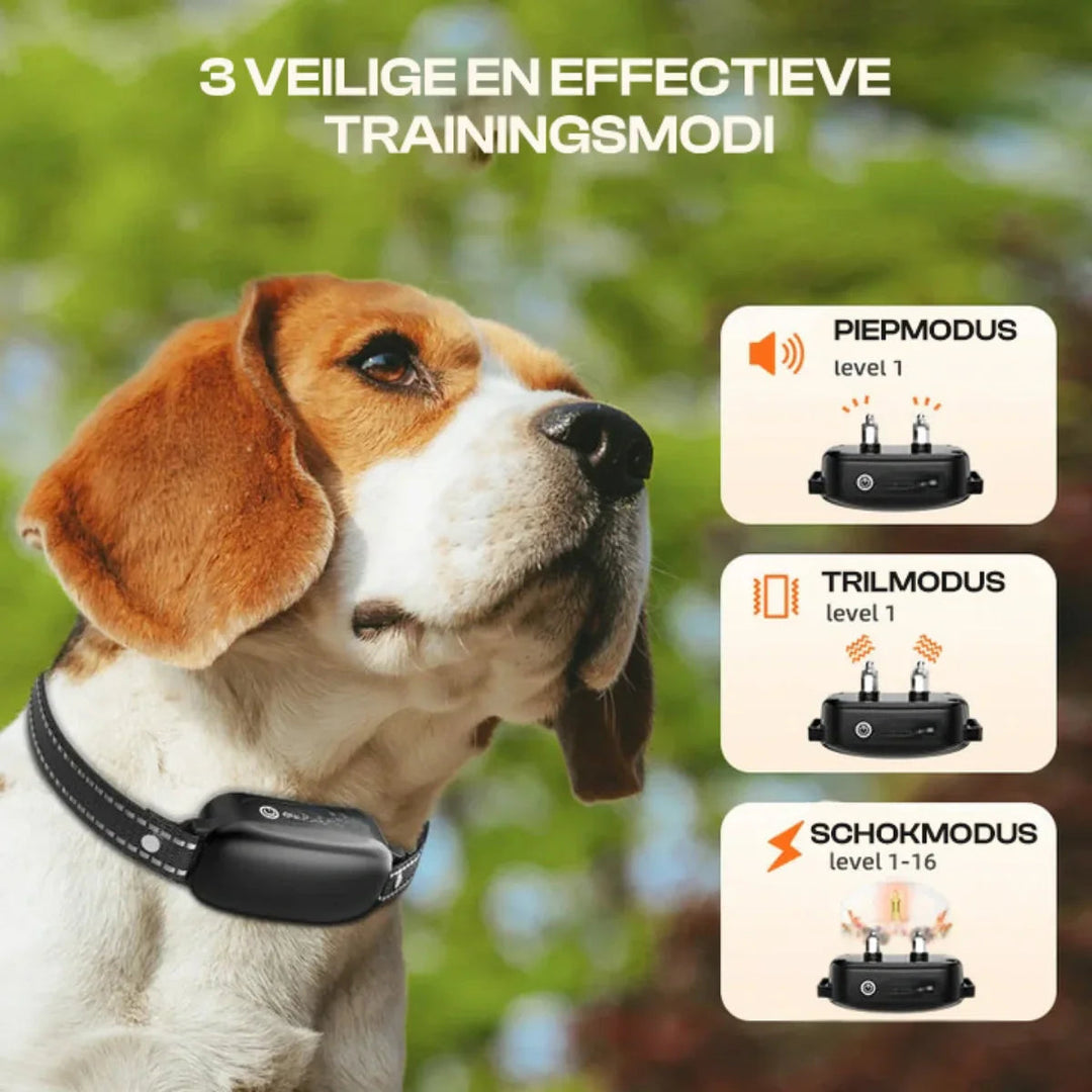 Best selling waterproof dog collar for training, reliable remote control up to 1000m.