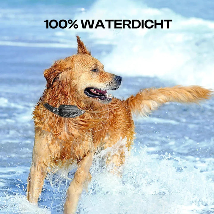 Durable and waterproof dog training collar with advanced remote features and 1000m range.