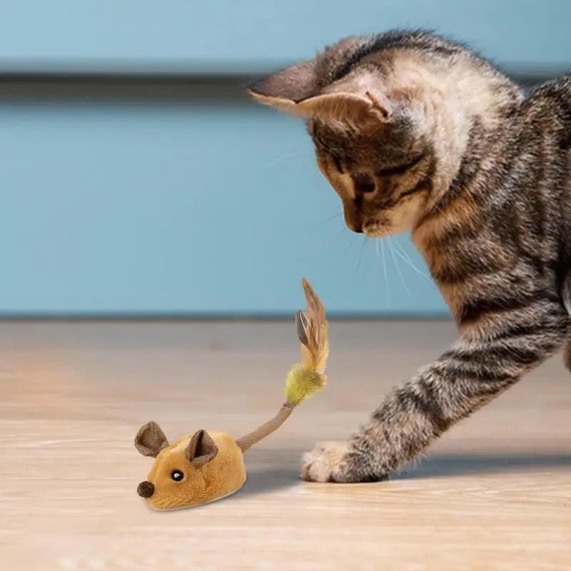Intelligent interactive mouse cat toy stimulating hunting instinct for feline fun and cat entertainment.