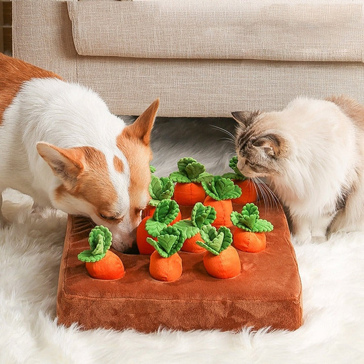 Interactive carrot patch dog toy for mental stimulation and treat dispensing.