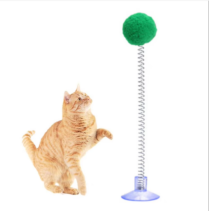 Active indoor cat toy: suction cup feather wand for interactive play, perfect for kittens.