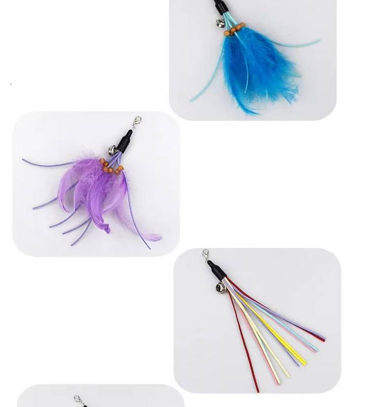 Best cat toy for interactive sessions: A flexible rod with a feathered lure.