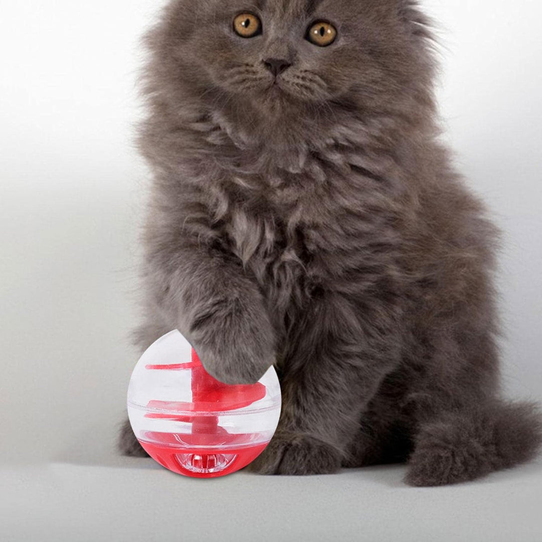 Engaging cat food puzzle toy. Interactive treat dispenser for learning, play, and mental stimulation in felines.