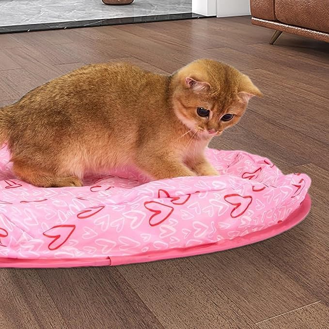 Interactive cat hide-and-seek toy for mental stimulation and feline enrichment. Durable design for playful cats.