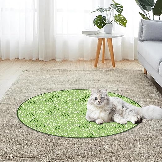 Curious cat playing with an interactive hide-and-seek toy, promoting mental stimulation and active exercise.