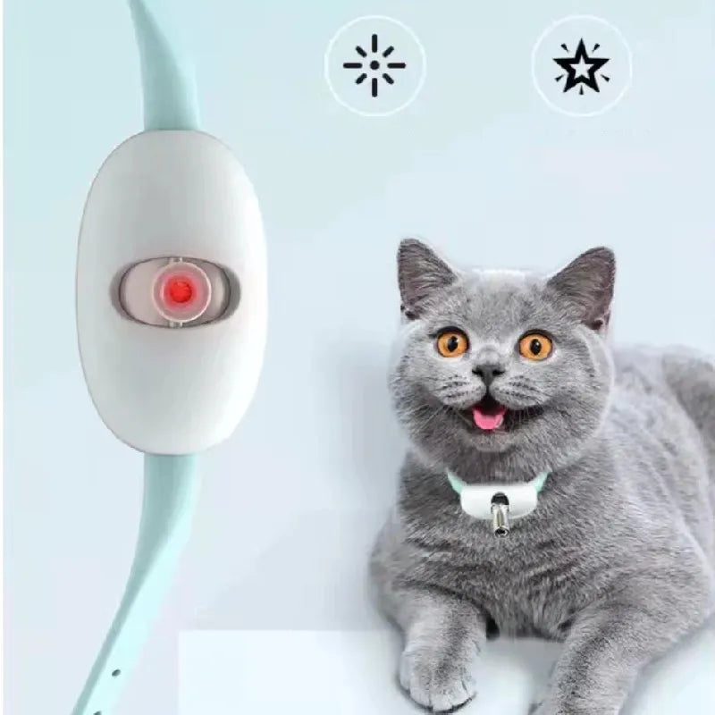 Ergonomic cat laser pointer for daily pet activity, perfect for engaging cats in a hunting game.