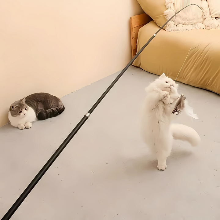 Interactive cat lure wand toy with feather attachment for active indoor play