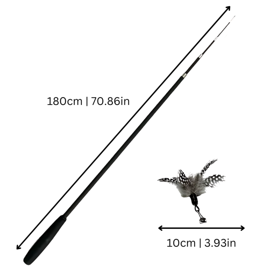 Engaging carbon fiber cat teaser wand toy with feather, promoting exercise for pets