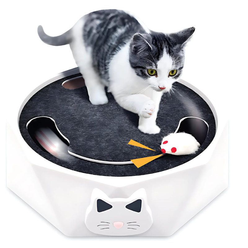 Interactive cat mouse toy with built-in scratch pad and lounge for pet enrichment
