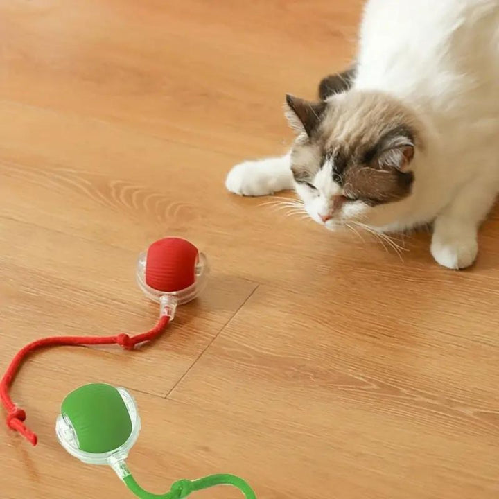 Interactive cat play ball with dynamic tail, perfect for feline fun & stimulating hunting instinct.