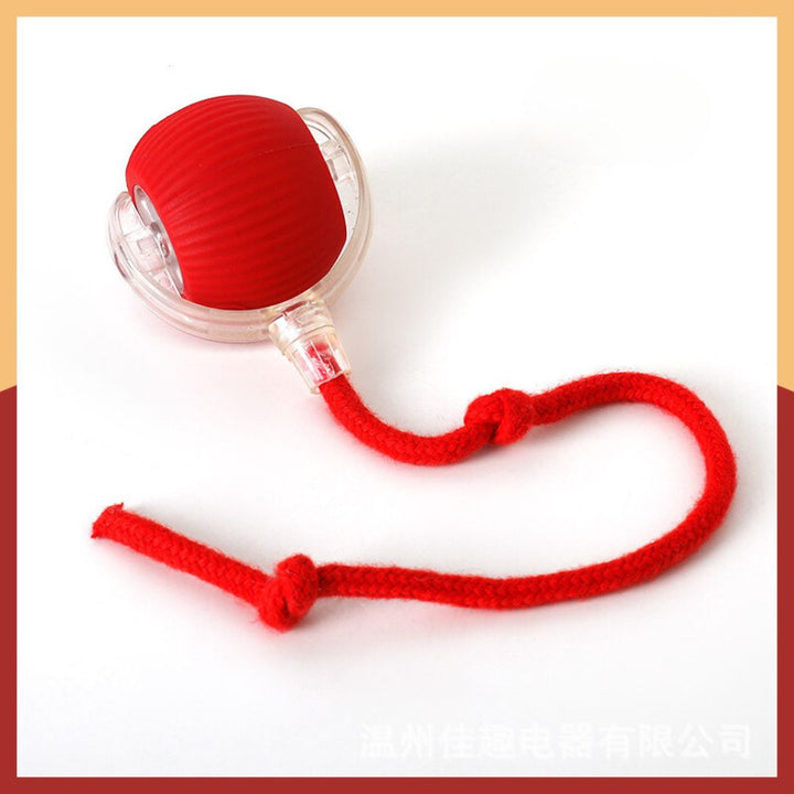 Feline fun with an automatic interactive cat toy ball & dynamic tail for active playtime & exercise.