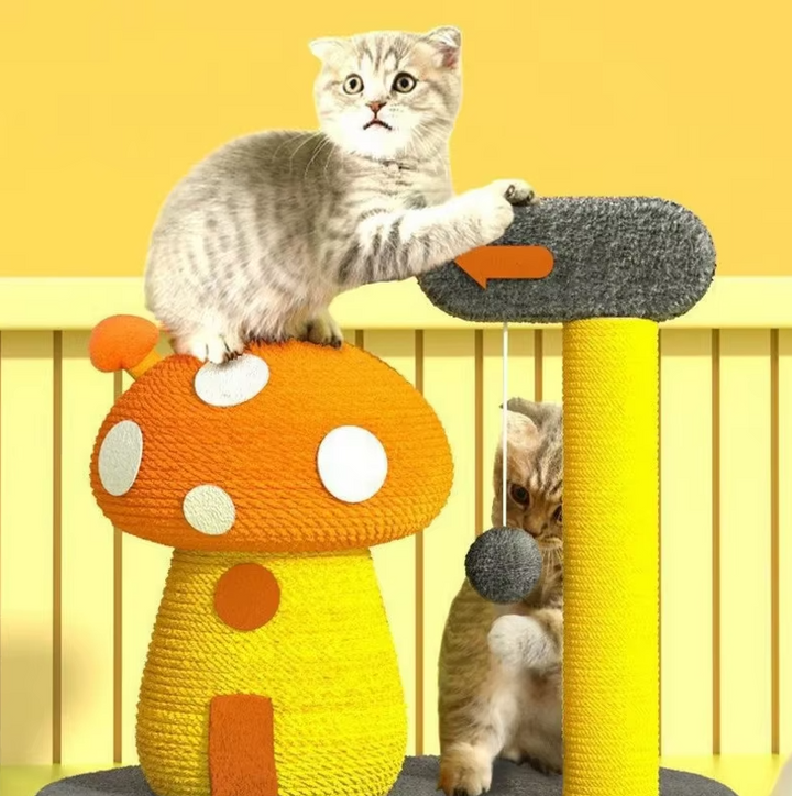 Interactive cat scratching post & play station for feline enrichment and exercise.