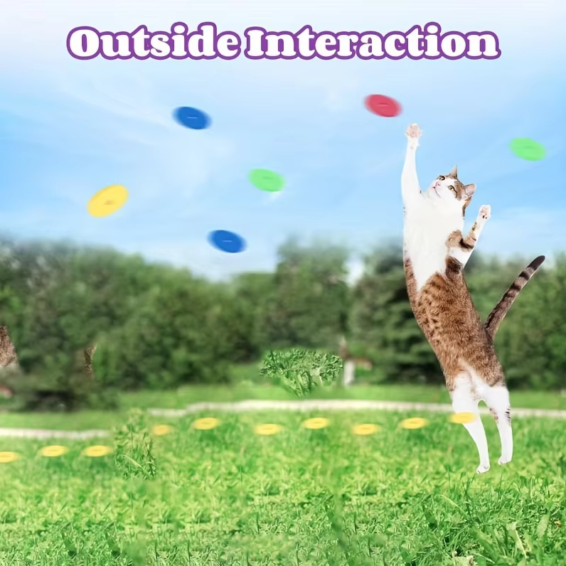 Bright interactive cat toy disc gun for endless feline fun. Promotes exercise, active play & happy cats.