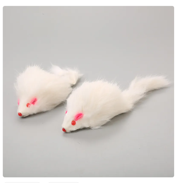 Feline fun: Playful cat toy mouse with string for interactive pouncing & mental enrichment.