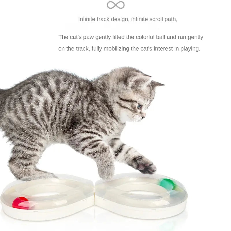 Kitten or active cat enjoying the interactive ball track toy for endless pet play.