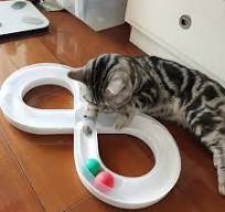 Durable interactive cat toy with an endless ball track for pet play, mental stimulation & feline fun.