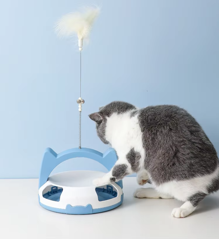 Modern cat toy: a dynamic feather and rolling ball designed for active, playful cats.