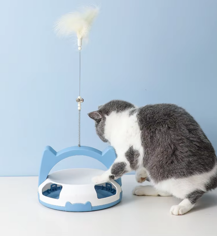 Modern cat toy: a dynamic feather and rolling ball designed for active, playful cats.