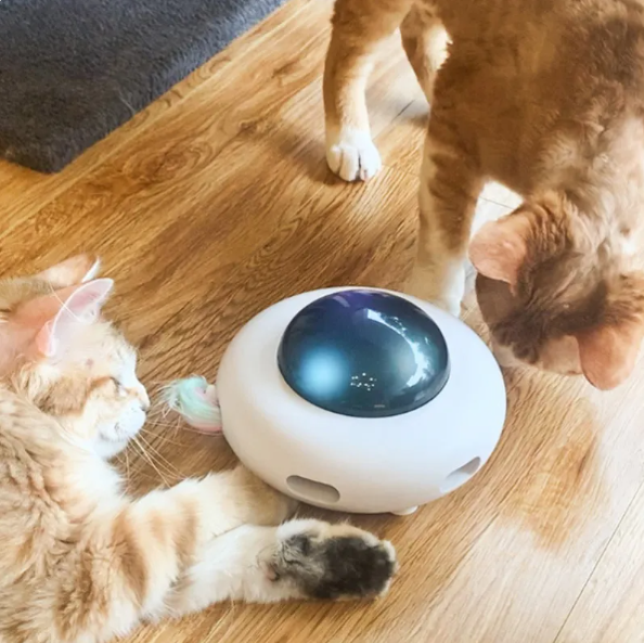 Interactive cat toy with LED lights and feather tail for feline enrichment & active playtime.