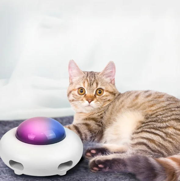 Engages active cats with an interactive LED feather toy, promoting stimulating playtime & enrichment.