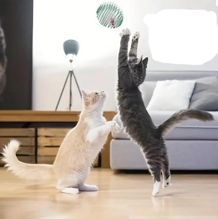 Fun spiral cage cat toy with multiple mice inside, designed for interactive pet play & stimulating hunting instincts.