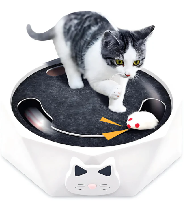 Interactive cat toy with moving mouse for active feline play & enrichment. Great for indoor cats.