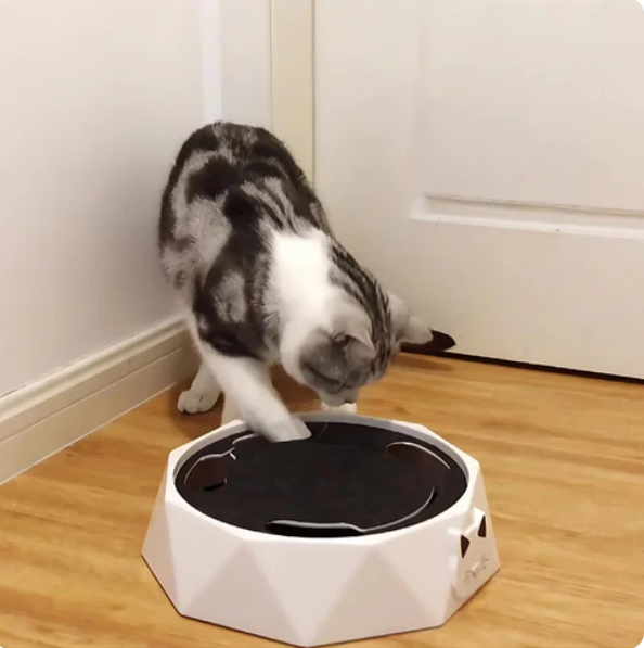Dynamic cat entertainment: moving mouse interactive toy for endless fun and healthy play.