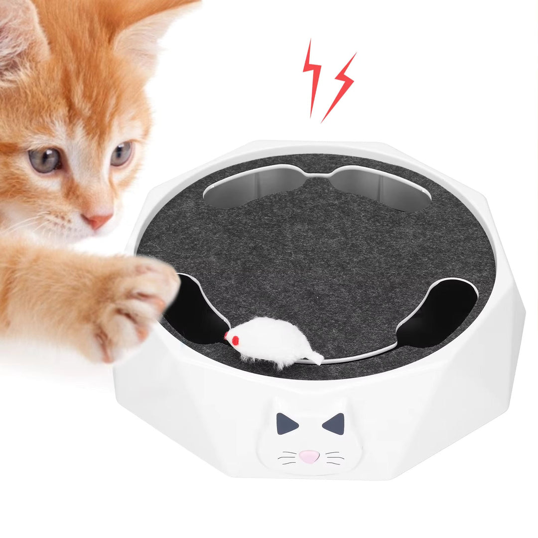 Indoor cat toy: interactive moving mouse designed to stimulate natural hunting instincts in cats.