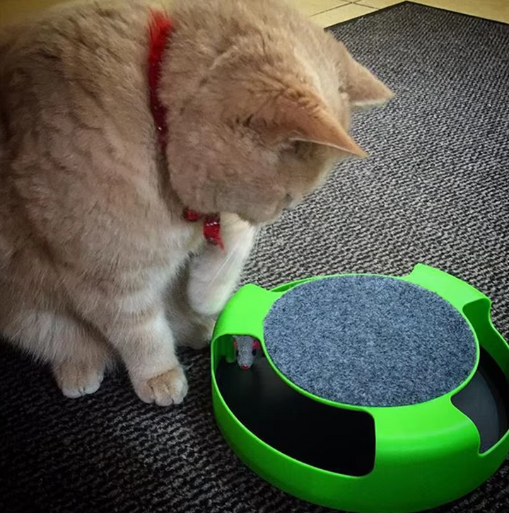 Feline fun guaranteed with this interactive moving mouse cat toy, promotes play.