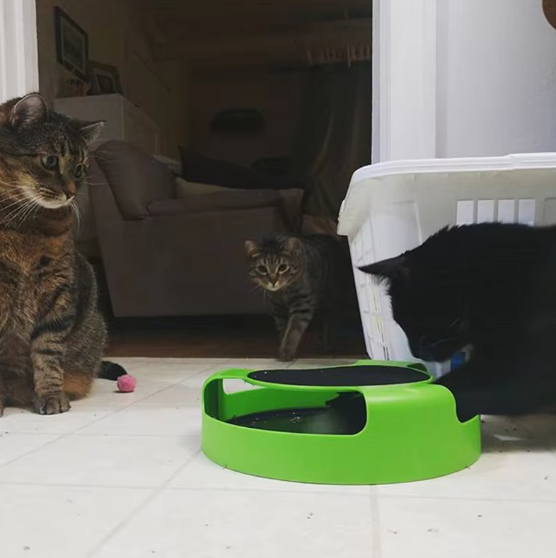 Moving mouse cat toy for endless feline fun, interactive play & mental stimulation.