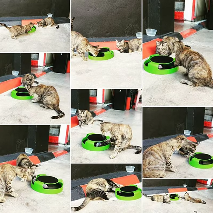 Keep your cat active with this interactive moving mouse toy, fun and durable.