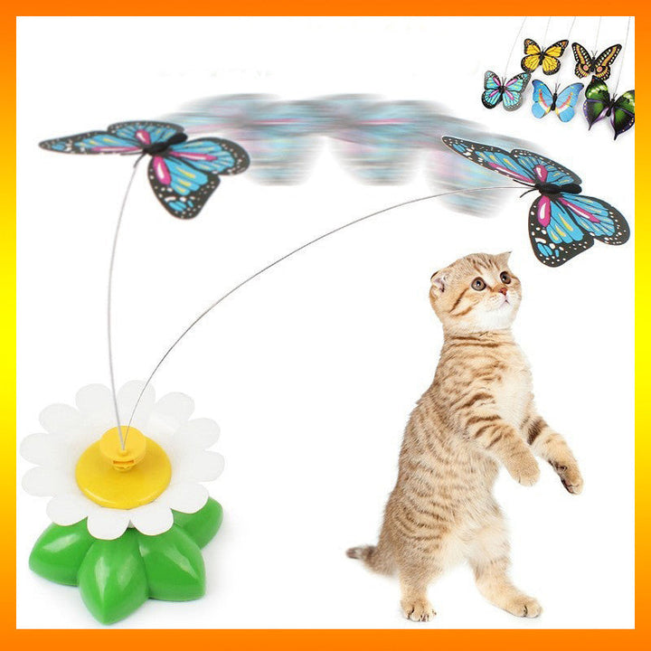 Feline enrichment toy: an interactive butterfly that encourages active play and natural hunting instincts in cats.