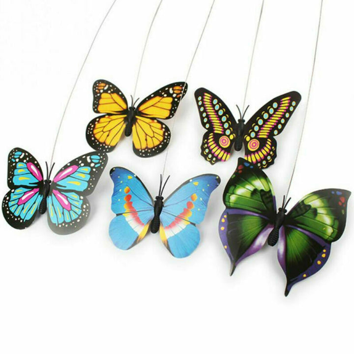 Active cat's interactive butterfly toy, designed for stimulating play and engaging your feline's natural hunting instincts.