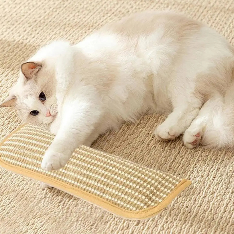 Interactive catnip pillow toy for cats, promoting healthy scratching and stress relief.