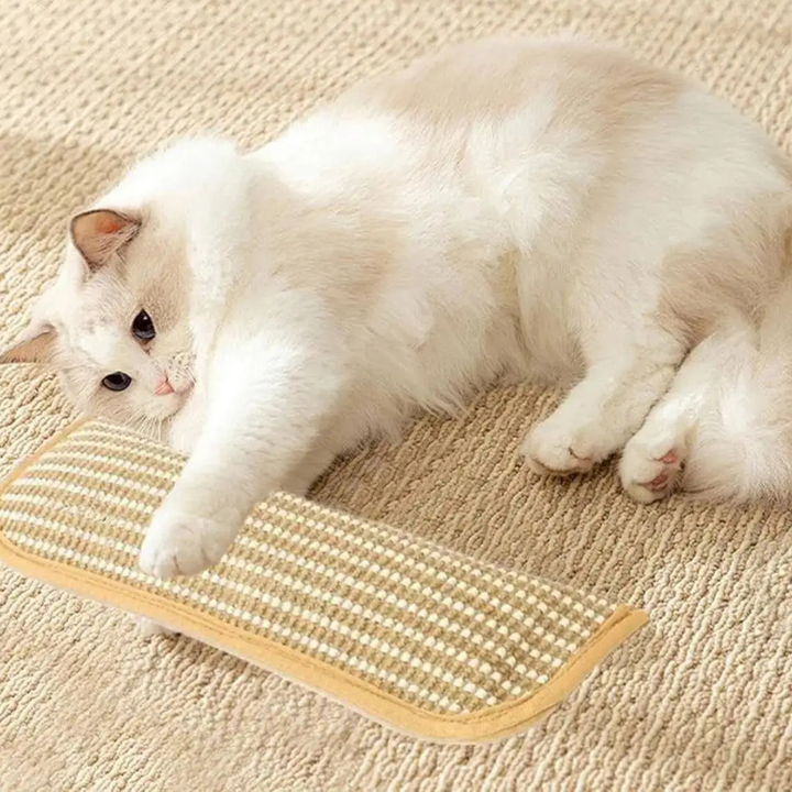 Interactive catnip pillow toy for cats, promoting healthy scratching and stress relief.
