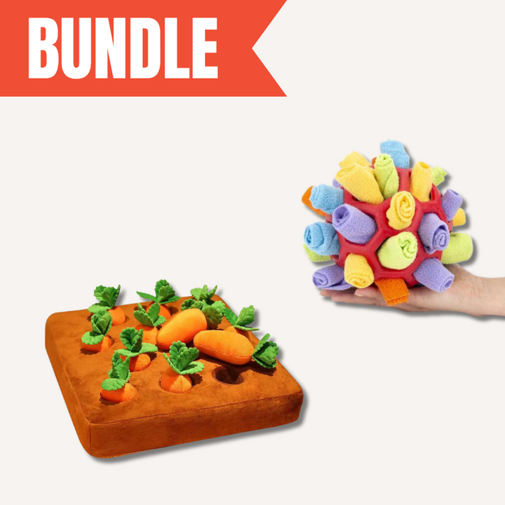 Interactive dog sniff and search enrichment set with snuffle mat for mental stimulation